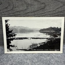 RPPC Chatcolet Lake Idaho Logging Logs Real Photo Postcard R.O. Photo picture