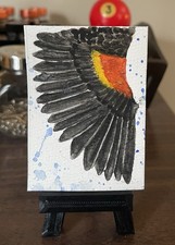 Original ACEO Red Wing Blackbird Nature Study Bird Watercolor Painting OOAK picture