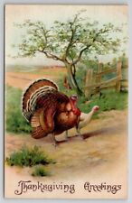 Thanksgiving Greetings Turkey In Country Scene 1910 Kane PA Postcard S26 picture