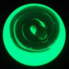 Chinese Water Snake Encased in Glow in The Dark Lucite Dome 3.4