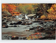 Postcard Sparkling Brook Vermont picture
