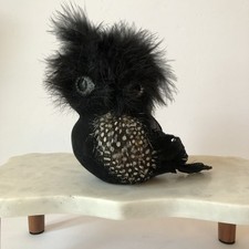 Pier 1 Imports Halloween 5
