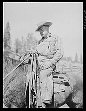 Bitterroot Valley Montana Cowboy 1942 FSA Horseback Rancher Saddle Drive picture