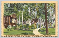 Grand Canyon Lodge North Rim Cottages Kaibab Forest Arizona Linen Postcard picture