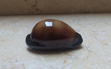F cypraea exusta wow very great color  very rare red sea shell 63.4mm F++++F+++ picture