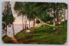 1907 Petoskey Michigan Lake Shore Bald Bay View Park Hammock Postcard picture