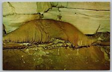 Centre Hall Pennsylvania Penns Cave Interior Chinese Dragon Chrome Postcard picture
