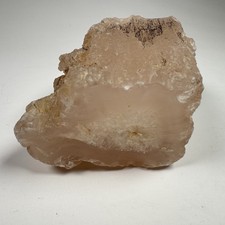 Paulina Oregon Agatized Petrified Wood Limb Cast Pink Chalcedony 9 oz Natural picture