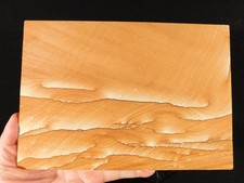 wOw BIG PICTURE Stone or SANDSTONE Slice/Slab with Display Stand Utah 1041gr picture