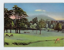 Postcard Nara Park Nara Japan picture