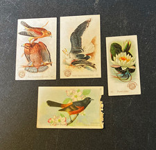 Arm & Hammer Victorian Trade Cards Lot of 4 Beautiful Birds & Flowers Multicolor picture