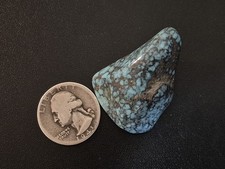 Natural Gem Grade Turquoise Nugget from Cloud Mountain  20 Grams picture