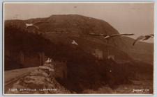 RPPC Postcard Llandudno Wales Seagulls Cliff Real Photo Posted 1925 Postmark picture