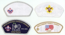 BSA - Mecklenburg County - FOS CSPs picture