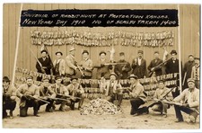 RPPC Rabbit Drive, Severed Ears Bounty Hunt, Protection, Kansas, 1909 picture
