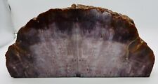 Old ANCIENT FOSSIL Matching Set Petrified Tree Wood w/Bark Edge Bookends 8 lbs picture