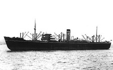Napier Star 1926 Ship of the Blue Star Line Shipping Co OLD PHOTO picture