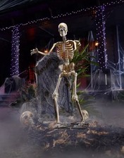 3 Ft LED Skelly Halloween Skeleton Decoration – Lighted Indoor/Outdoor Display picture