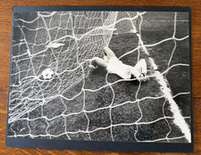 Vintage Press Photo Bob Langer Chicago Sun Times Sports Photojournalism Soccer picture