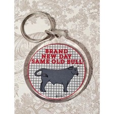 Vintage 1980s Paula “Brand New Day Same Old Bull” Keychain Clear Plastic picture