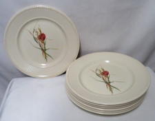 Wedgwood Queen's Ware Posy Edme Dinner Plate Set 7 ceramic Dish Micro Safe Vtg picture