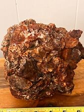 petrified wood opalized agatized raw lapidary decor fire opal red white 5lb15oz picture
