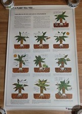 Vintage Poster What a Plant Needs classroom science botany ortho picture