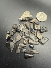 Fish Fossil Collection - Gar Scales, Drum Fish Teeth, Barracuda Etc picture