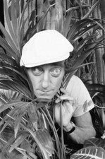 Zany comedian Marty Feldman seen here posing 29th August 1982 Old Photo 3 picture
