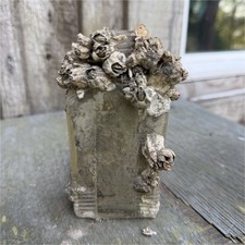 Shipwreck Bottle with Barnacle Encrustation picture