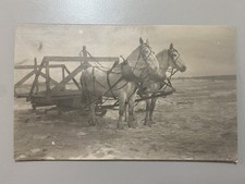 1910s Terry Montana RPPC Postcard Horse Team Pulling Wooden Hay Rack Wagon MT picture
