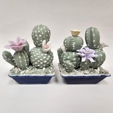 Lot of 2 Ceramic Cactus Figurines with Purple & Pink Flowers picture