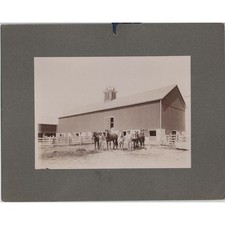 Antique 1904 James McDowell Barn Photo Sepia Horse Farm Architecture 7x5 Mount picture