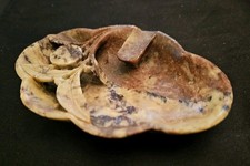 Vintage Chinese Carved Soap Stone Ashtray Cigarette Rest Brown Black  Highlights picture