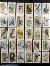 Useful Birds of America 30 cards (complete), Church & Co 1908 AWESOME SET picture