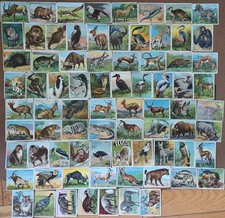 1910 T29 Hassan Animals Series Complete Set P to Ex, majority G-VG picture