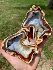 INSANELY RARE RED FOSSIL AGATIZED CORAL FLORIDA OCEAN MINERALS Pair picture