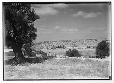 Photo:Jerusalem Israel 1900s Mount of Olives City Panorama picture