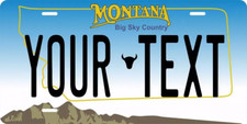 State License Plate Personalized With Your Text Car Novelty Plate Custom 200+ picture