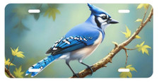 Blue Jay License Plate 6x12 Aluminum Bird Wildlife Decorative Car Wall Art Tag picture