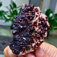49G Natural Garnet Crystal Ore Mineral Crystal Specimen Museum Grade picture