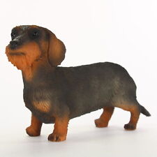 Dachshund Figurine Hand Painted Collectible Statue Wirehaired picture