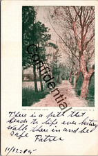 1905 Tree Lined Lakeshore Path At Lakehurst NJ Ocean County New Jersey J611 picture