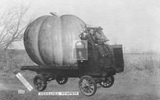 Exaggeration Pumpkin Plattsmouth Nebraska NE - Reprint picture