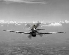 Mustang P-51 and P-51D Fighter Aircraft WWII 8x10 Glossy Photo Print HT4136740 picture