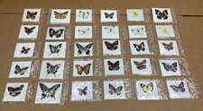 LOT (30) Real Butterfly Specimens Taxidermy Unmounted Entomology Collection picture