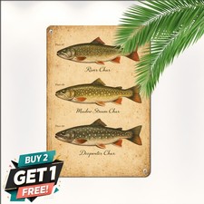 Rainbow Trout Brook Brown Fish Tin Sign River Angler Fly Fishing Metal Plaque picture