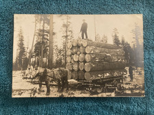RPPC Northern Michigan Elk Rapids Logging on Sled Posted 1908 Beebe Photo picture