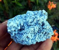 Blue CHALCEDONY Coral & Matrix Minerals A-4.24 picture