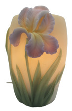 Iris and Orchid Design Inc. Night Light Lamp Works EUC Very Pretty picture